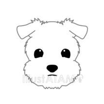 シュナウザー（白）