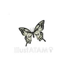 シンプルなアゲハ蝶