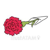 シンプルなカーネーション