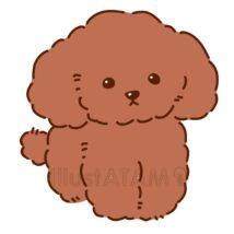 シンプルなトイプードル（茶色）