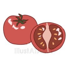 シンプルなトマト（断面）,シンプル,トマト,野菜のイラスト素材