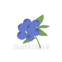 シンプルなブルーベリー（大きい）