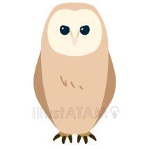 シンプルなメンフクロウ