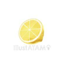 シンプルなレモン（断面）