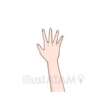 シンプルな右手