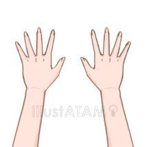 シンプルな手・腕