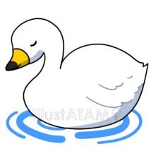 シンプルな白鳥