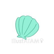 シンプルな貝殻