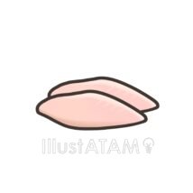 シンプルな鶏肉（ささみ）