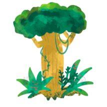 ジャングルの木