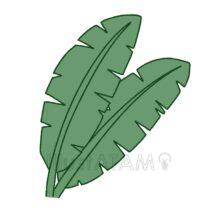 ジャングルの草