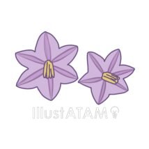 ナスの花,ナス,植物,花,野菜のイラスト素材