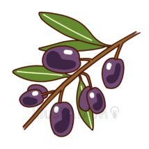 ブラックオリーブ,オリーブ,植物,葉っぱのイラスト素材