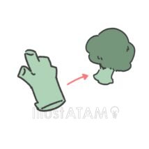 ブロッコリーの茎,ブロッコリー,野菜のイラスト素材