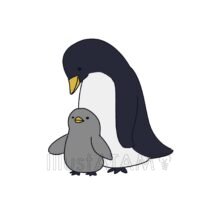 ペンギンの親子
