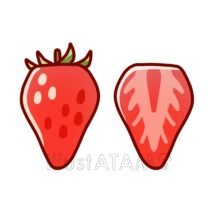 ポップないちご（断面と全体）