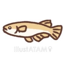 メダカ