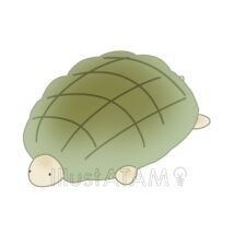 メロンパン（亀）