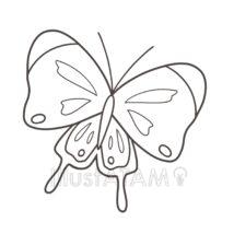 モンシロチョウの塗り絵