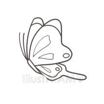 モンシロチョウの塗り絵（横向き）