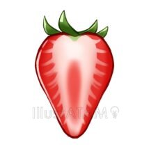 リアルないちごの断面