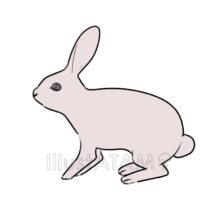 リアルなうさぎ