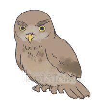 リアルなかっこいいフクロウ,かっこいい,フクロウ,リアル,鳥のイラスト素材