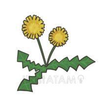 リアルななたんぽぽ（花）