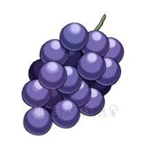リアルなぶどう