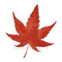 リアルなもみじ