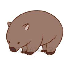 リアルなウォンバット