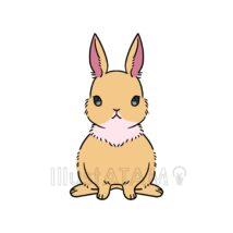 リアルなウサギ（正面）