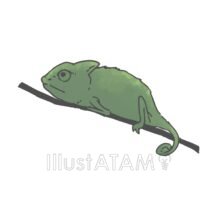 リアルなカメレオン