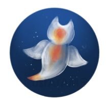 リアルなクリオネ