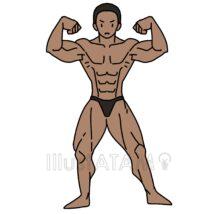 リアルなボディビルのポーズ（腕）