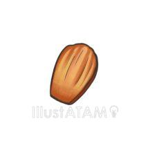 リアルなマドレーヌ