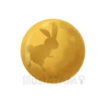 リアルな月のうさぎ