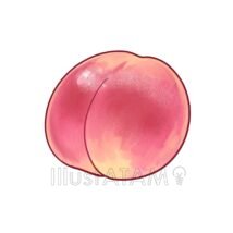 リアルな桃,リアル,果物,桃のイラスト素材
