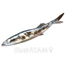 リアルな焼き魚