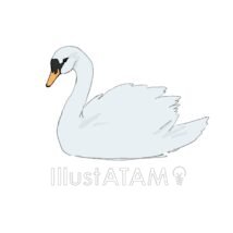 リアルな白鳥