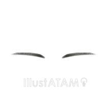 リアルな眉毛（アーチ眉）