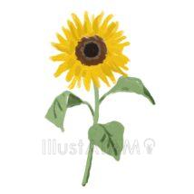 リアルな簡単なひまわり