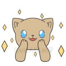 ワクワクする猫