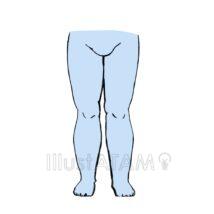 下半身（ぽっちゃり）