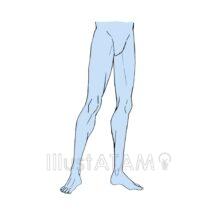 下半身（標準）