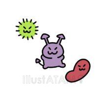 可愛いばい菌