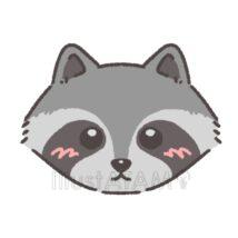 可愛いアライグマ