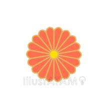 和風の菊（オレンジ色）
