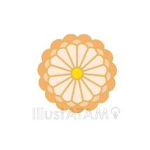 和風の菊（黄色）