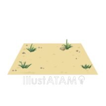 地面（砂）